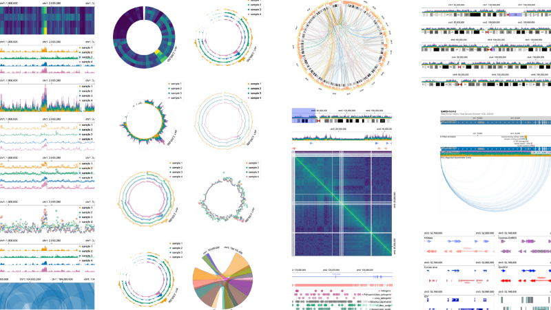 Visualization Grammar for Genomics Data